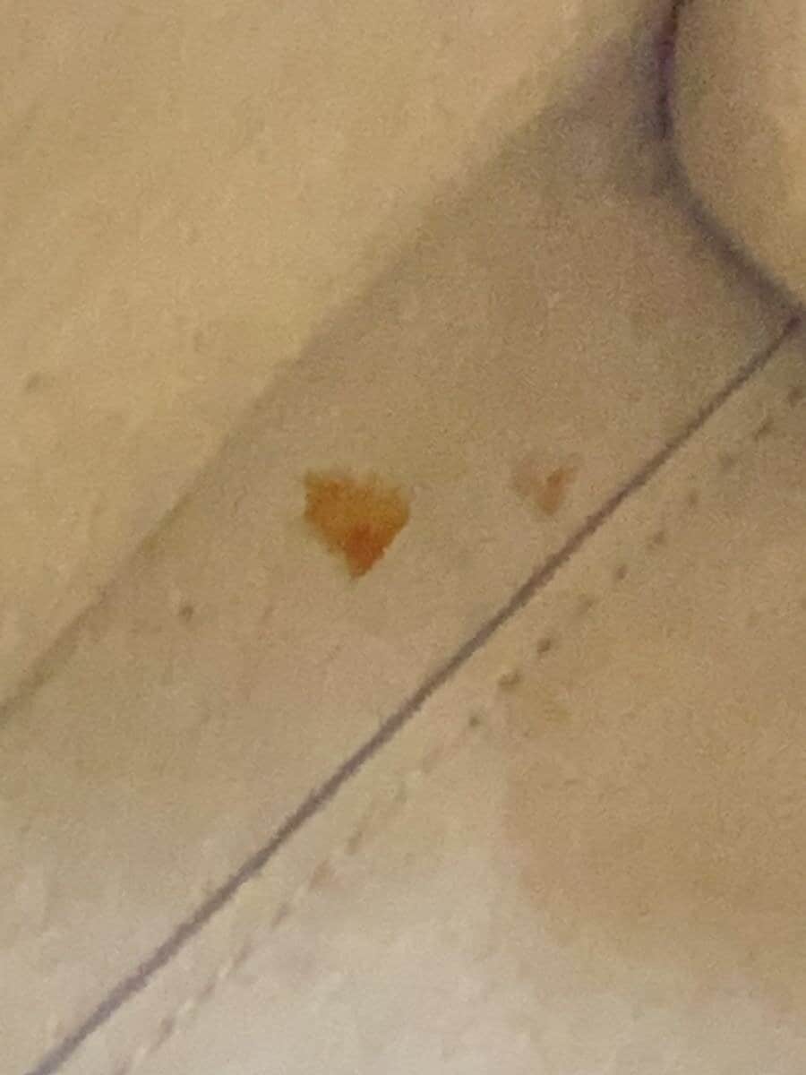 FURLA handbag leather CRM 285831 7