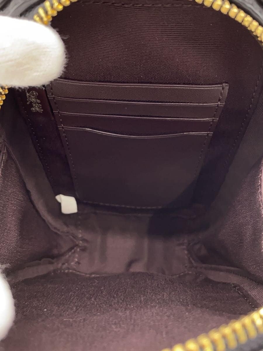 COACH Mini Shoulder Bag 2WAY Leather Black CB854 6