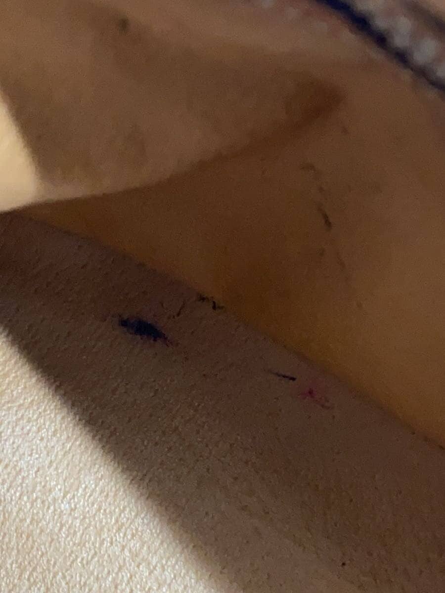 CELINE handbag PVC Brown All-over pattern M94 8