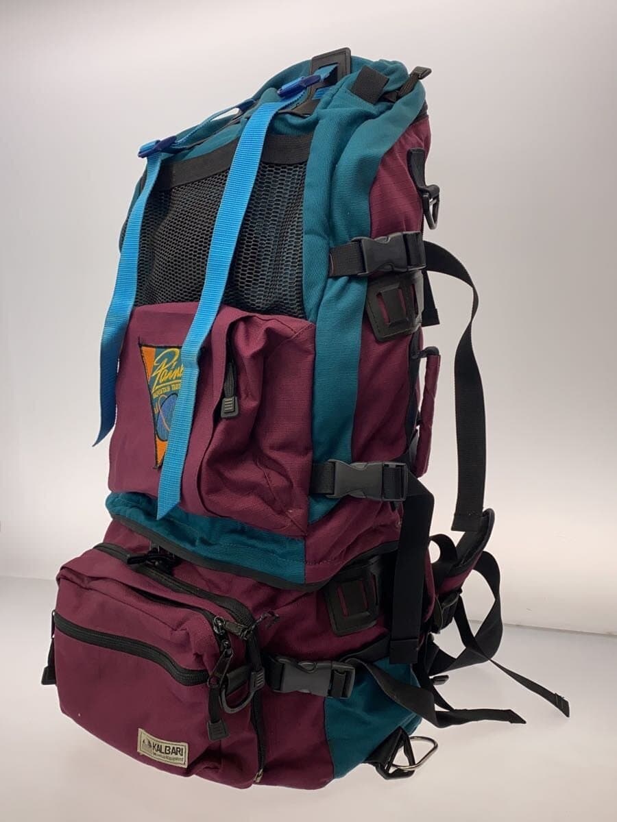 Other Brand Backpack 2