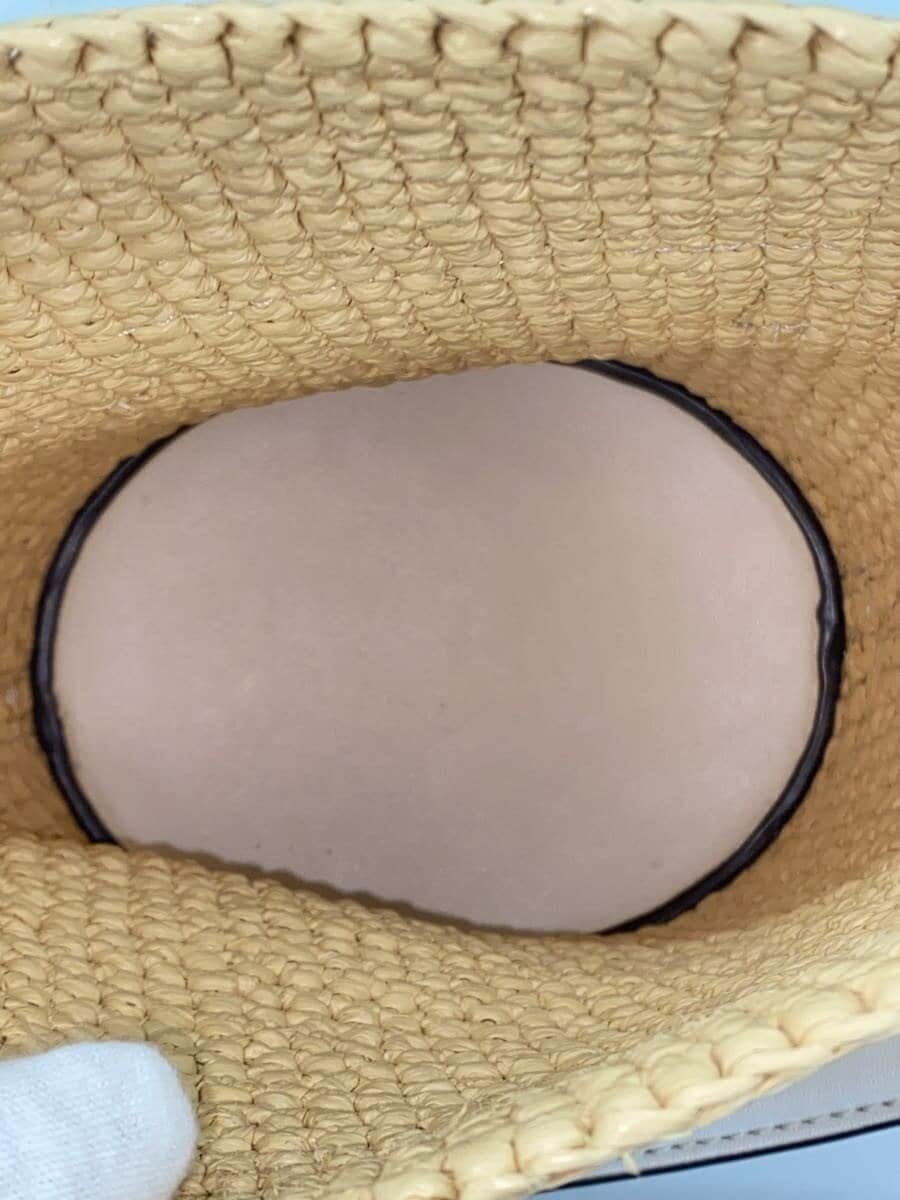 MICHAEL KORSTOWNSEND Straw Crossbody Shoulder BEG 32S4S10C50 4