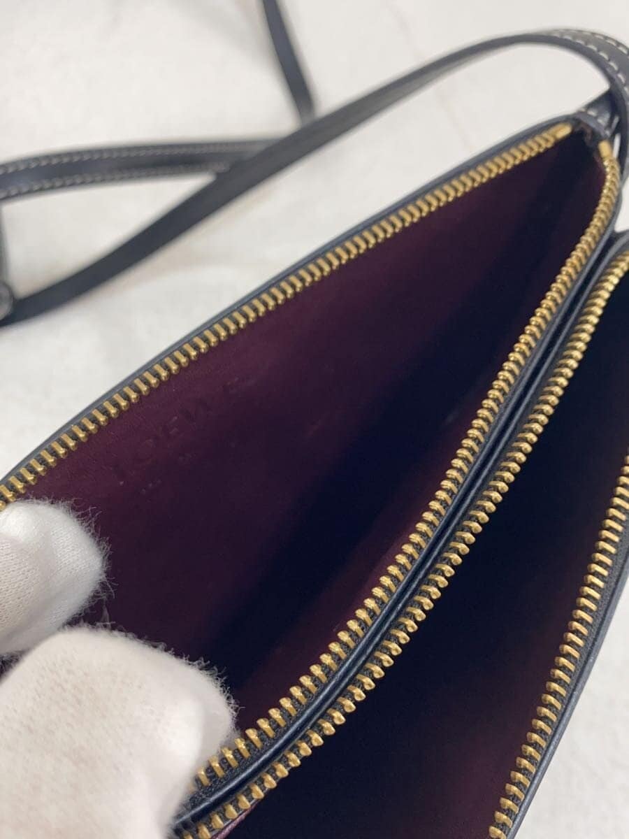 LOEWEGATE DOUBLE ZIP POUCH BAG Shoulder Bag Leather BLK Solid 8