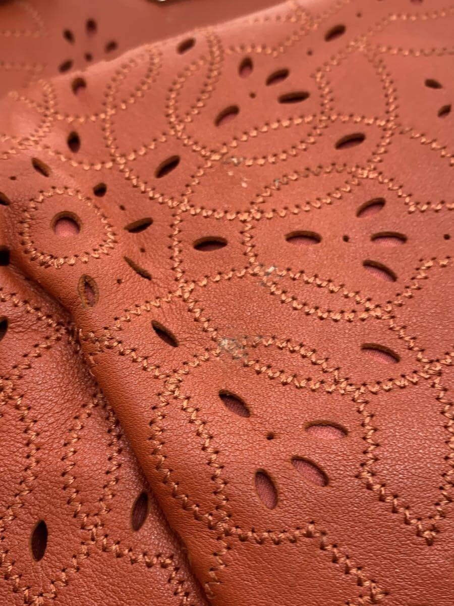 COACH Bag Leather BRD 8