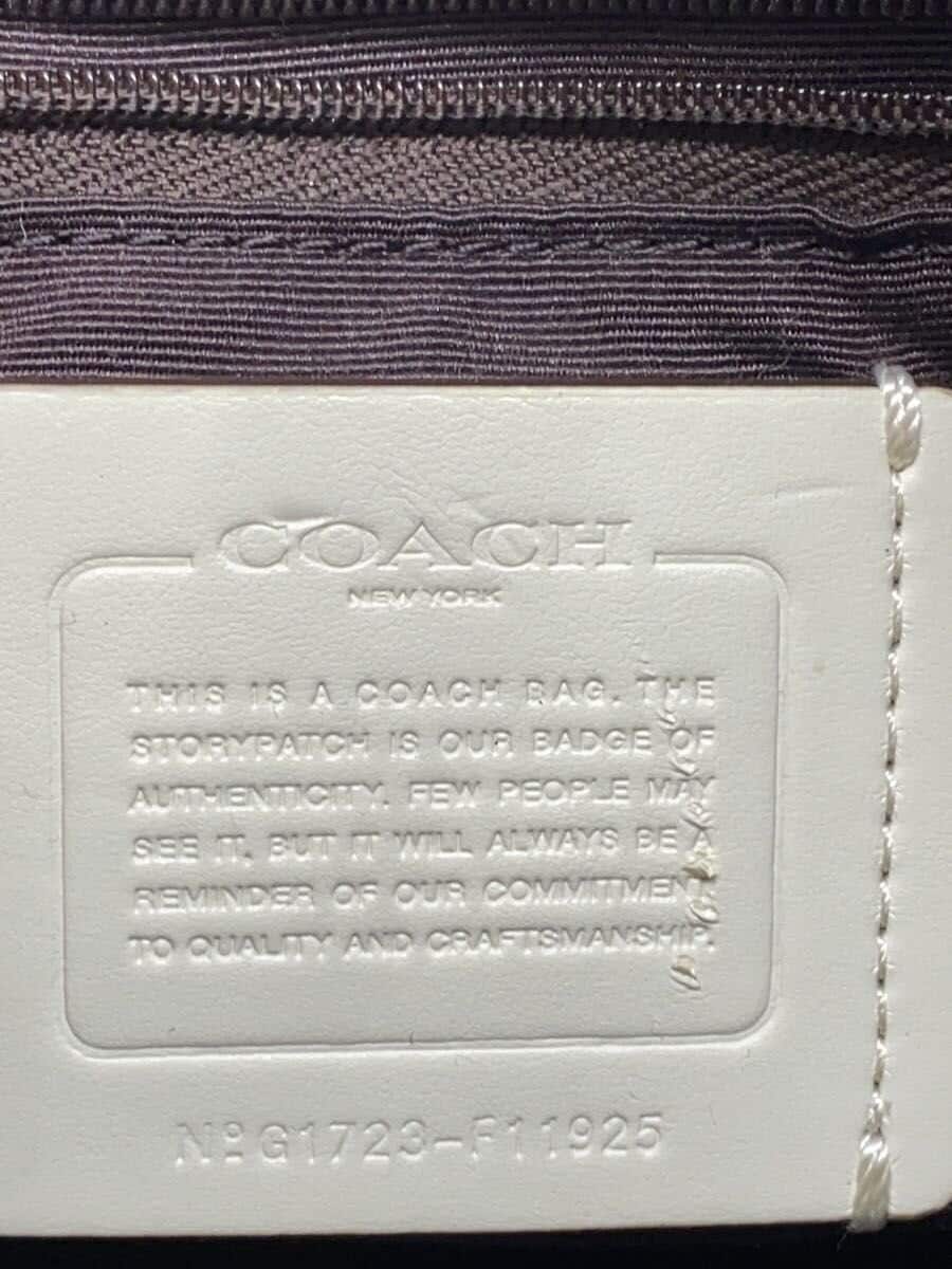 COACH handbag leather CRM F11925 5