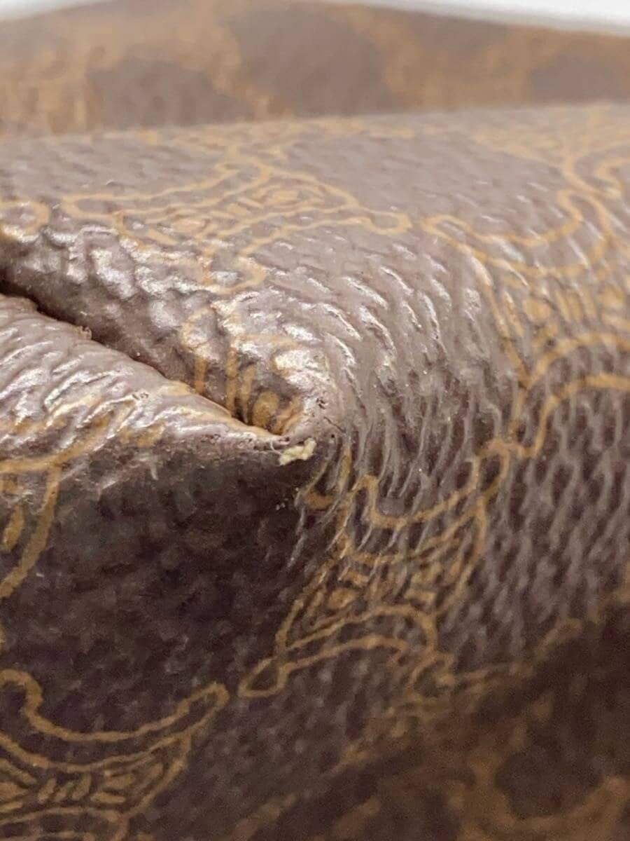 CELINE Pouch Leather BRW All Over Pattern 9