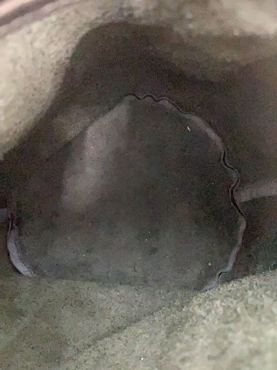 EVA MANN Shoulder Bag -- BLK 5