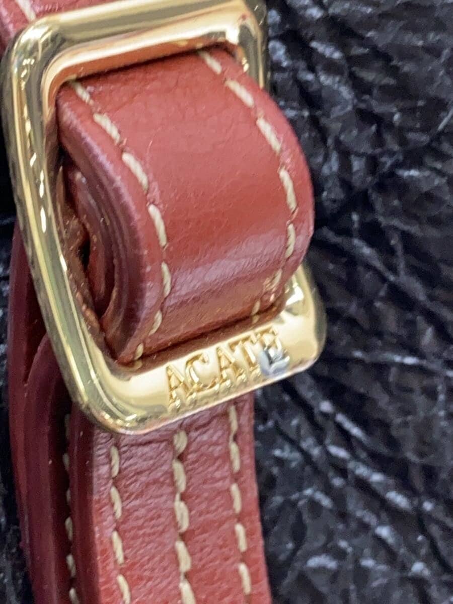 ACATE tote bag -- BRW 5