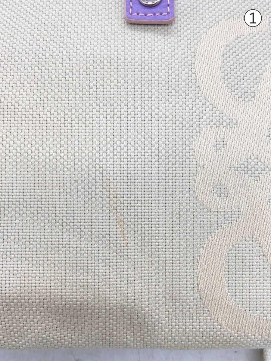 LOEWE Shoulder Bag Canvas IVO 7