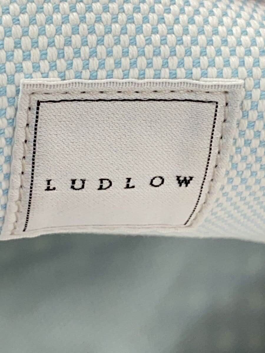 LUDLOW tote bag -- PUP gingham check 5