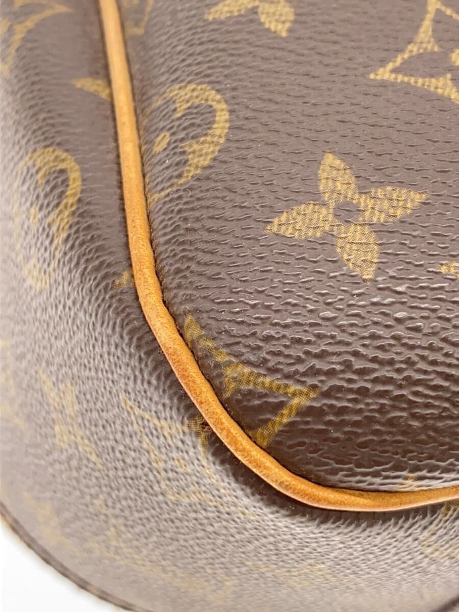 LOUIS VUITTON Excursion _Monogram Canvas PVC BRW Monogram 7