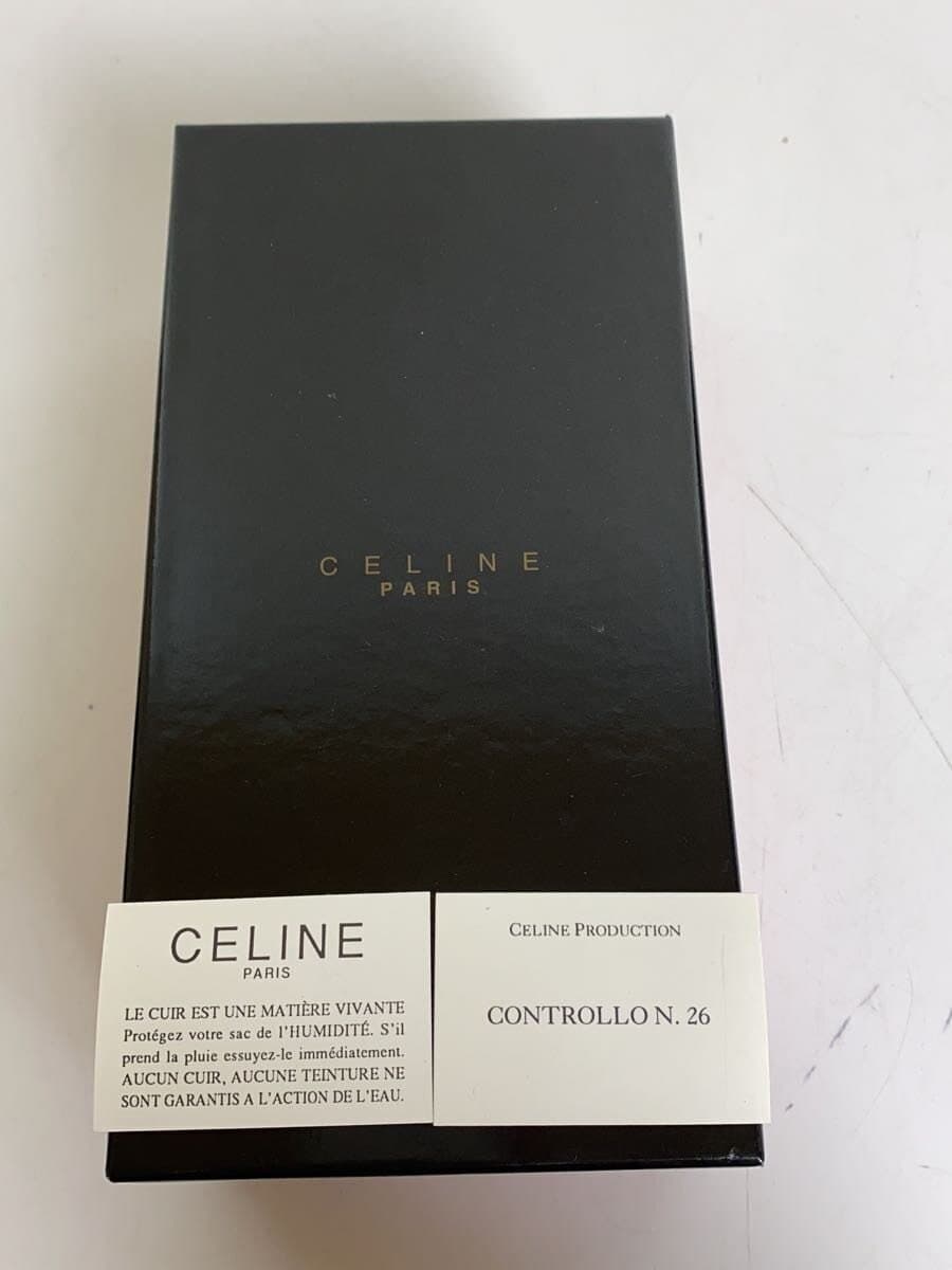CELINE Pouch BRW MC98 2 7