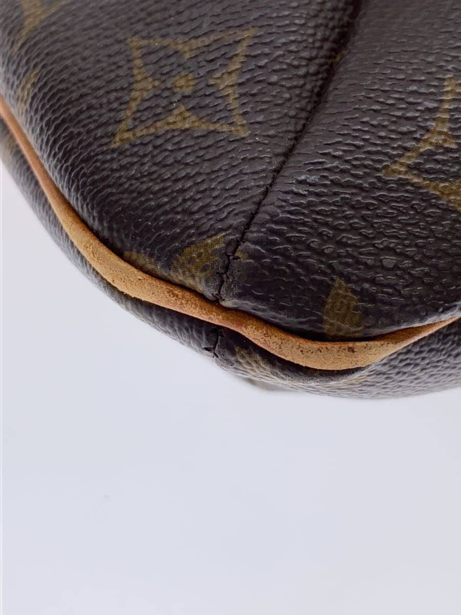 LOUIS VUITTON Musette_Monogram Canvas PVC BRW 7