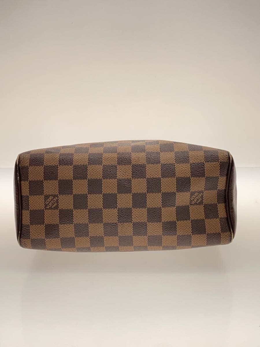 LOUIS VUITTON Brera _Damier Ebene PVC BRW 4