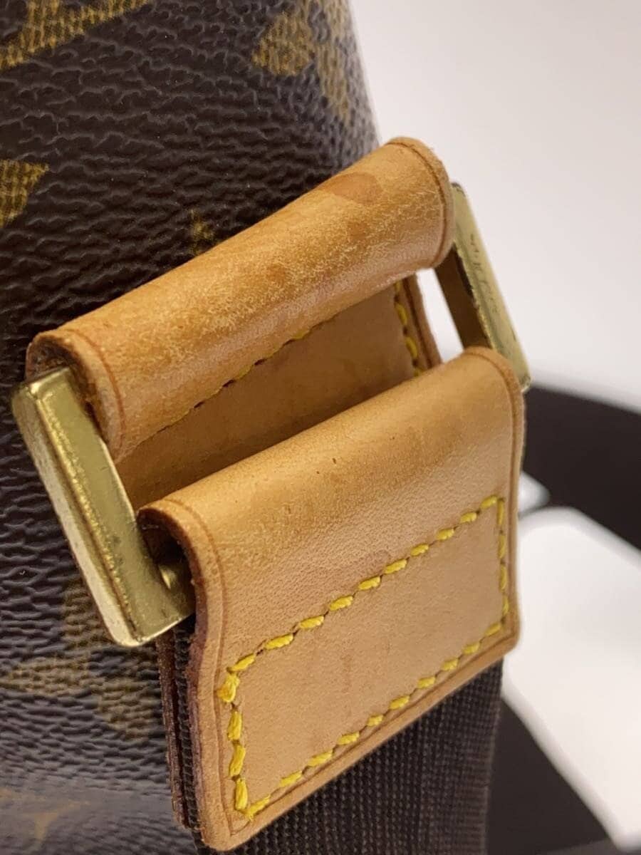 LOUIS VUITTON Aves _Monogram Canvas PVC BRW 7