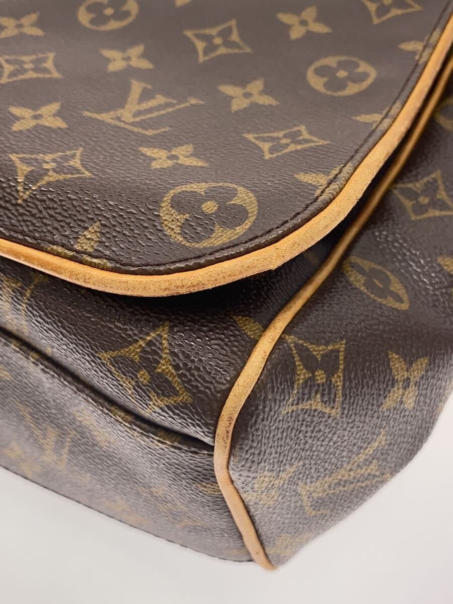 LOUIS VUITTON Aves _Monogram Canvas PVC BRW 8