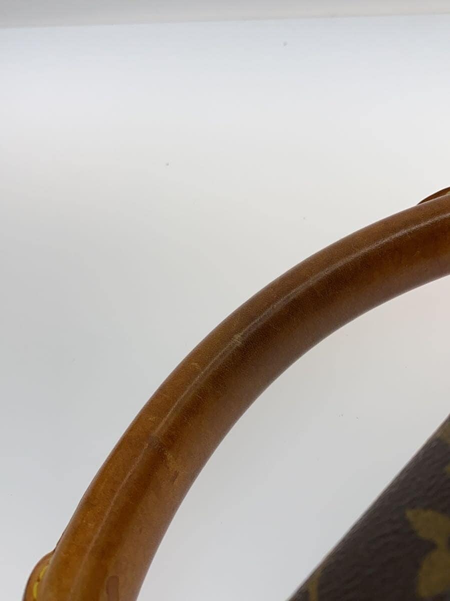 LOUIS VUITTON Robust 1_Monogram Canvas PVC BRW 9