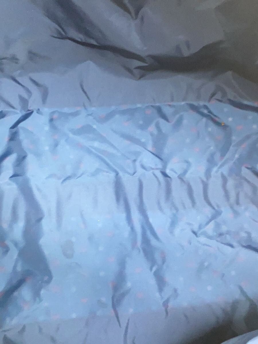 LESPORTSAC Boston Bag Nylon BLU All Over Pattern 6