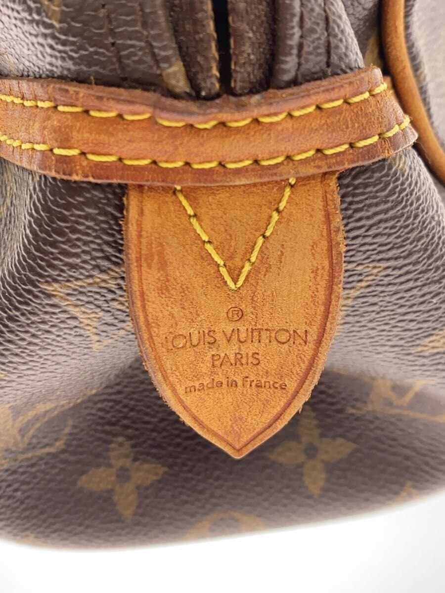 LOUIS VUITTON Montorgueil PM_Monogram Canvas PVC BRW 5