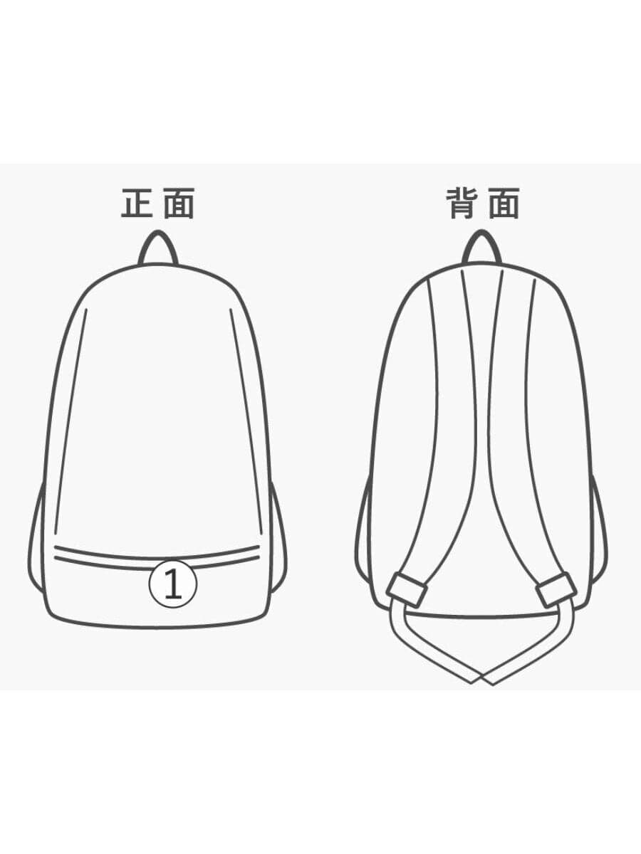 THE NORTH FACE Backpack Patent Leather BLU NM82255 8