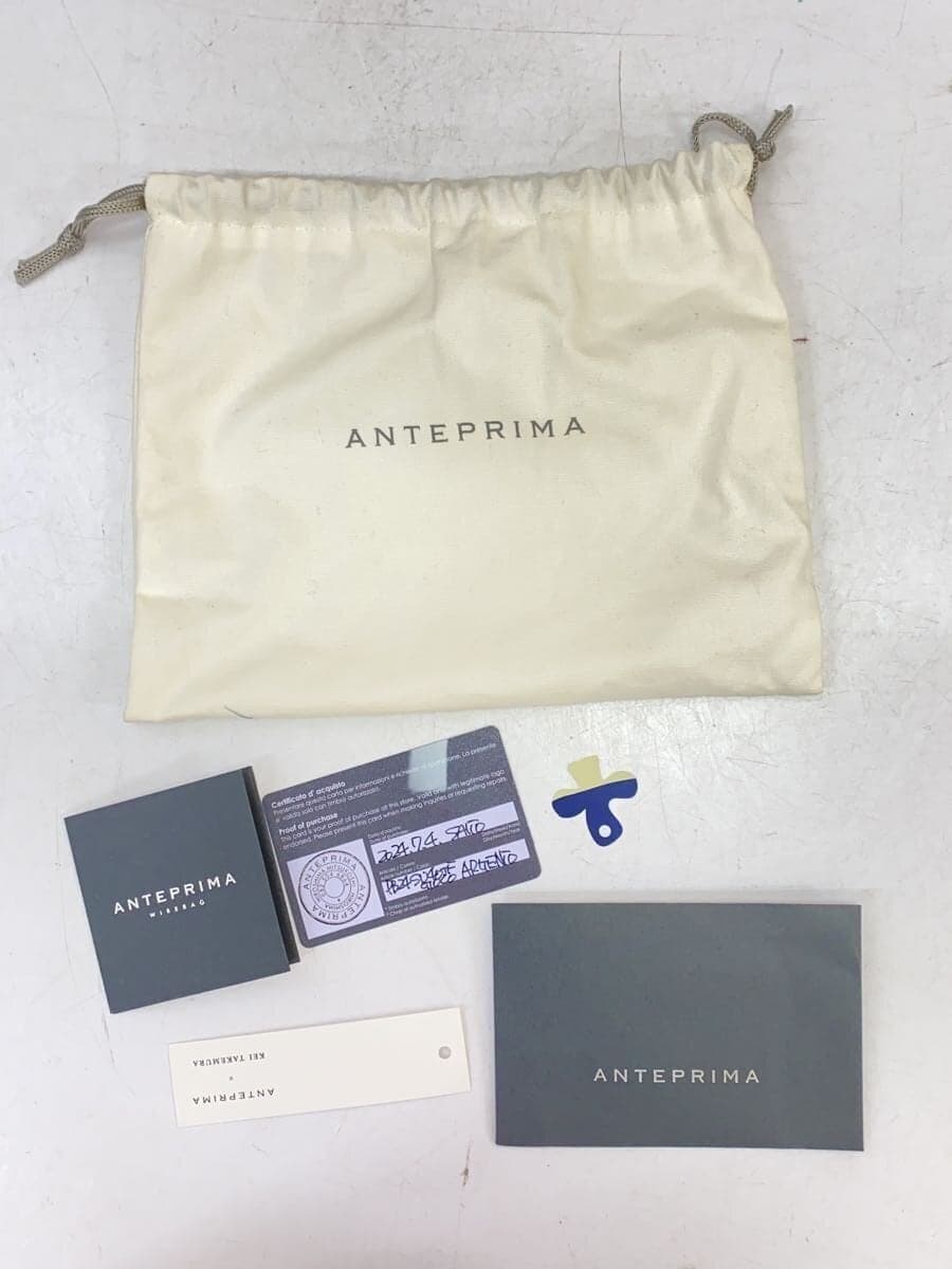 ANTEPRIMA Takemura Kei Gioco Small Shoulder Bag SLV 9