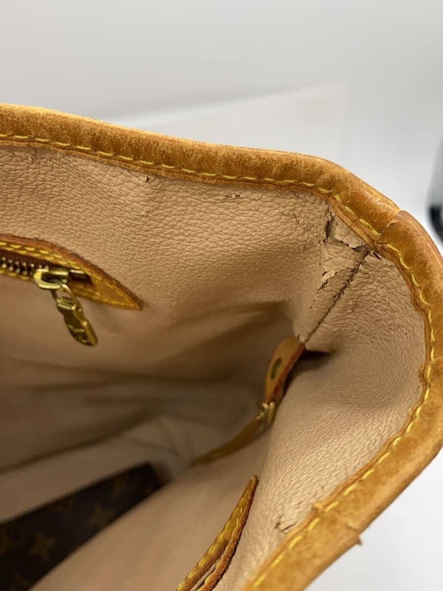 LOUIS VUITTON Bucket GM Monogram Canvas PVC BRW M42236 6