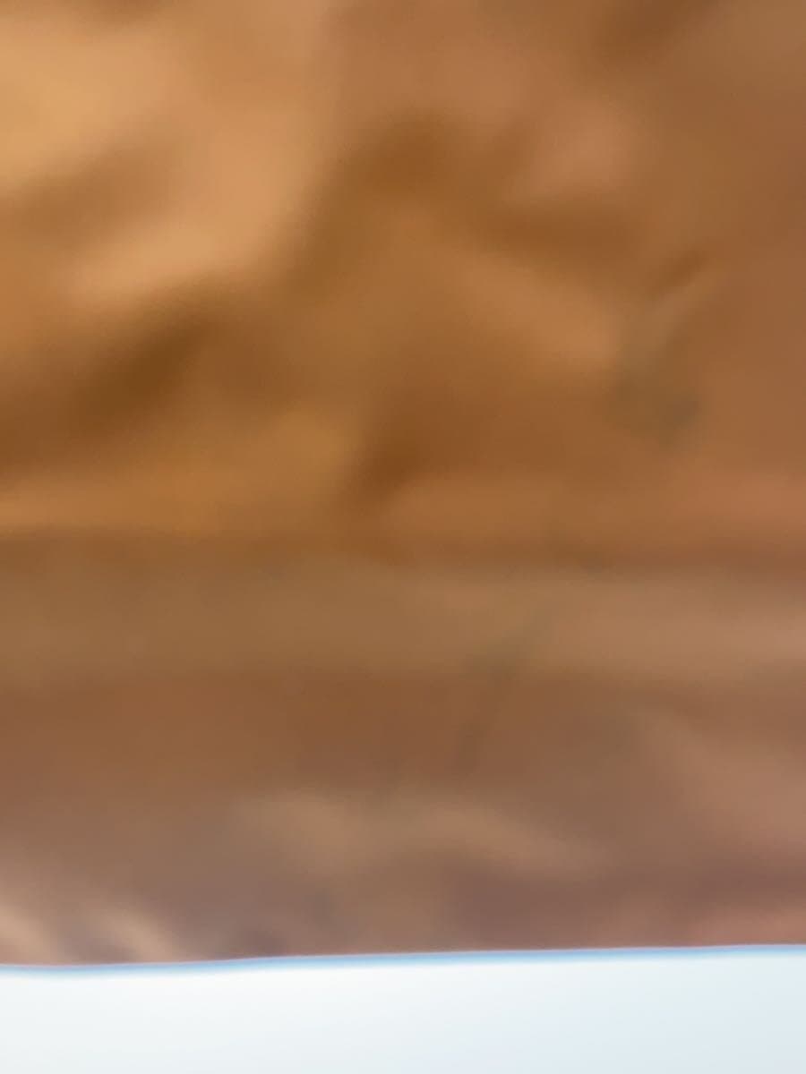 LONGCHAMP Handbag Brown 4