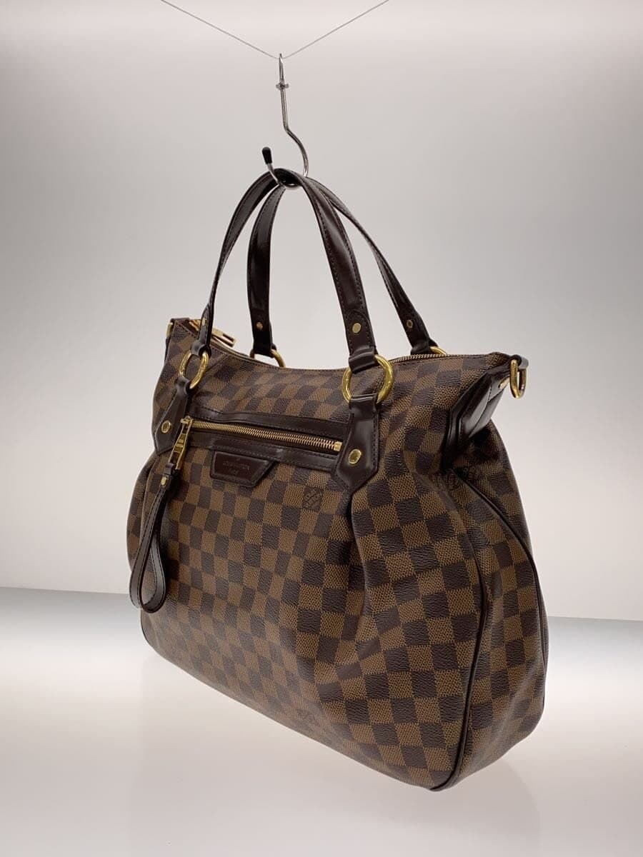 LOUIS VUITTON Evora MM_Damier Ebene PVC BRW 2