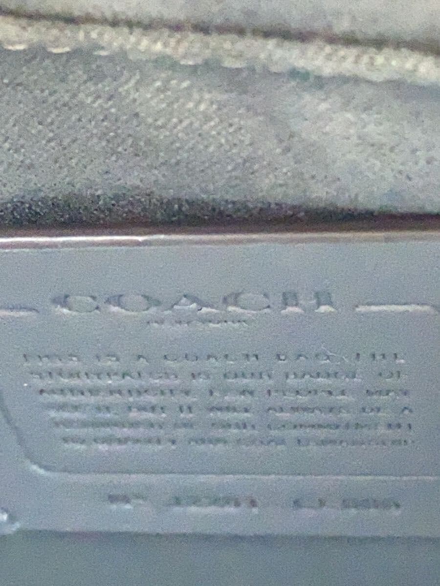 COACH Grace Carry-All Leather GRY CE606 5