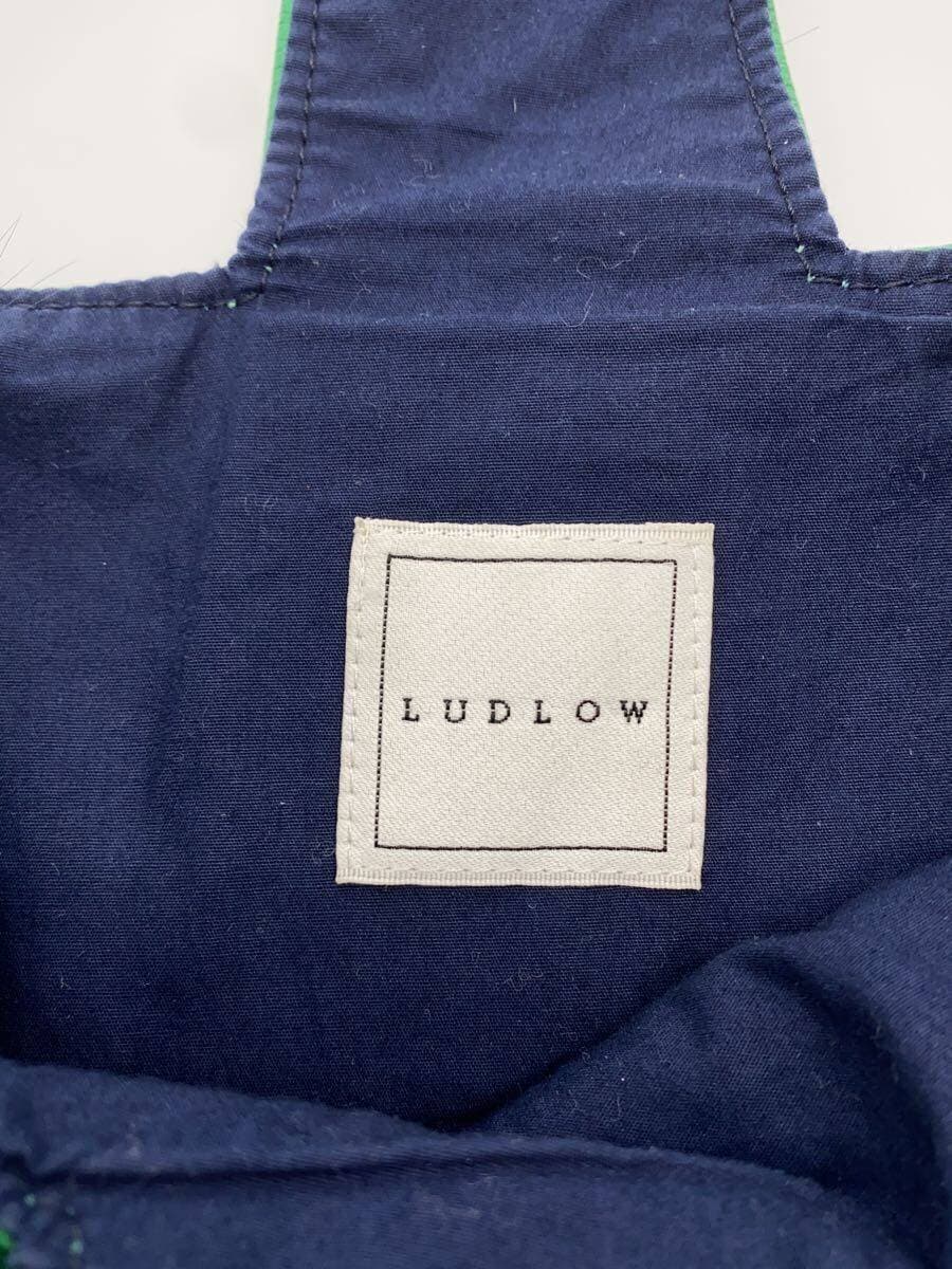 LUDLOW Tote Bag Fur GRN Solid 5