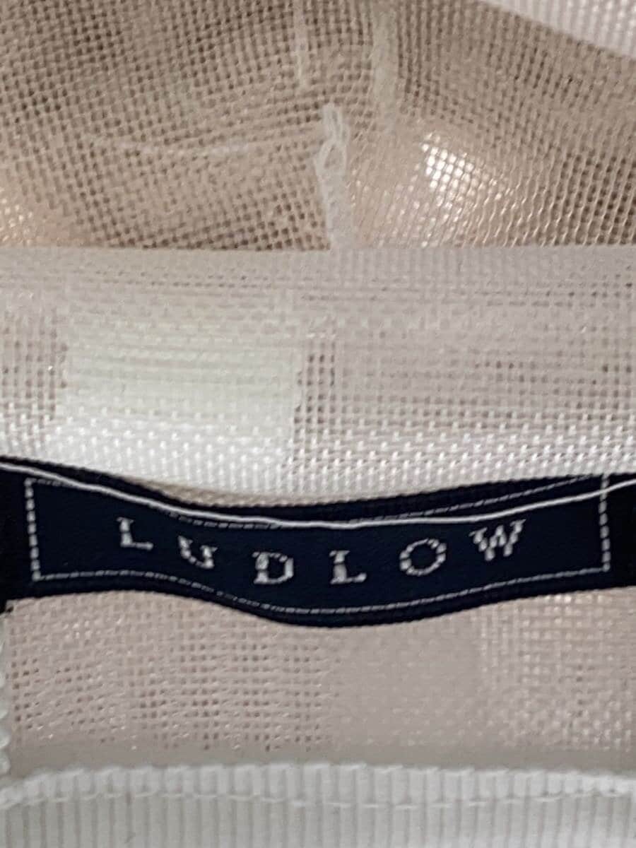 LUDLOW Handbag BEG 5