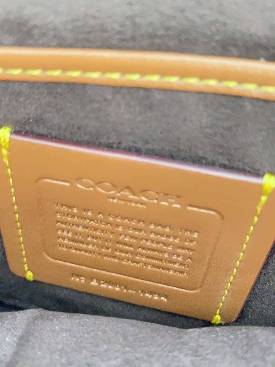 COACH Crosstown Body Bag Leather CML Plain 1494 5