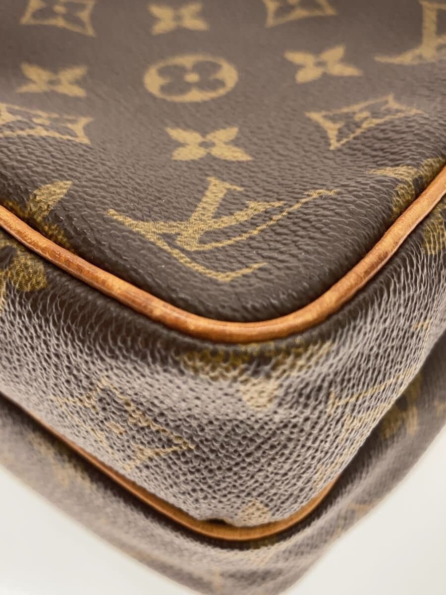 LOUIS VUITTON Mini Amazon_Monogram Canvas PVC BRW 7