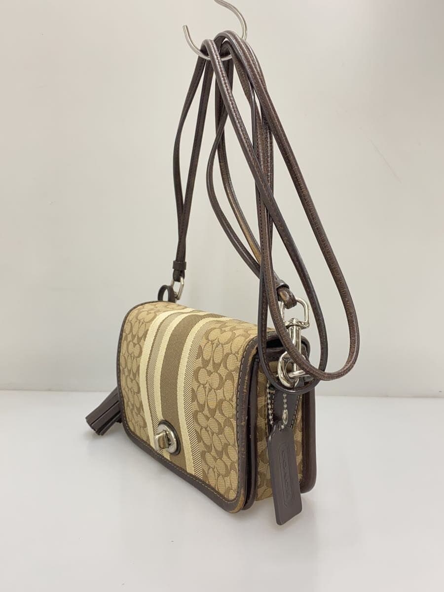 COACH Shoulder Bag_Signature_All-Over Print Canvas BRW All-Over Print 19919 2