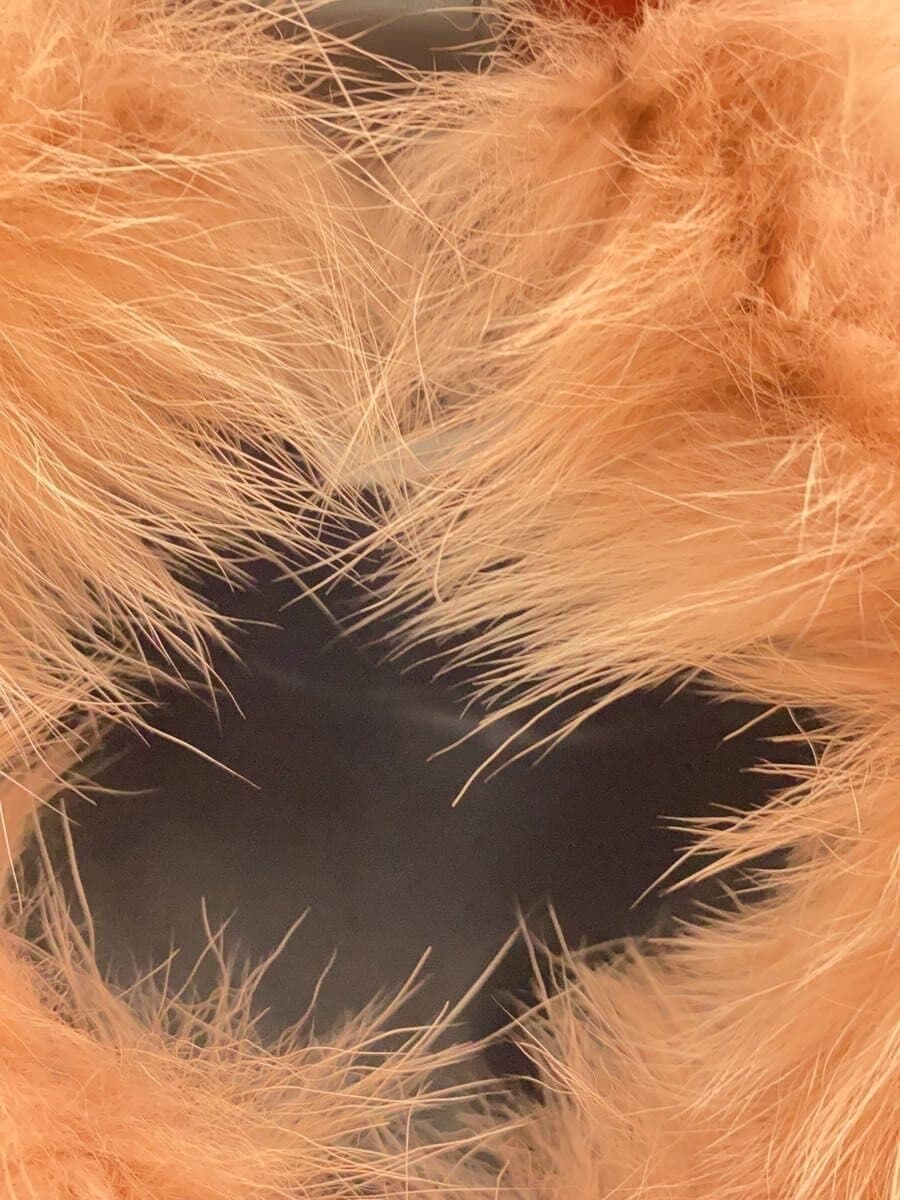 TOMORROWLAND handbag fur PNK 33-03-86-03006 6