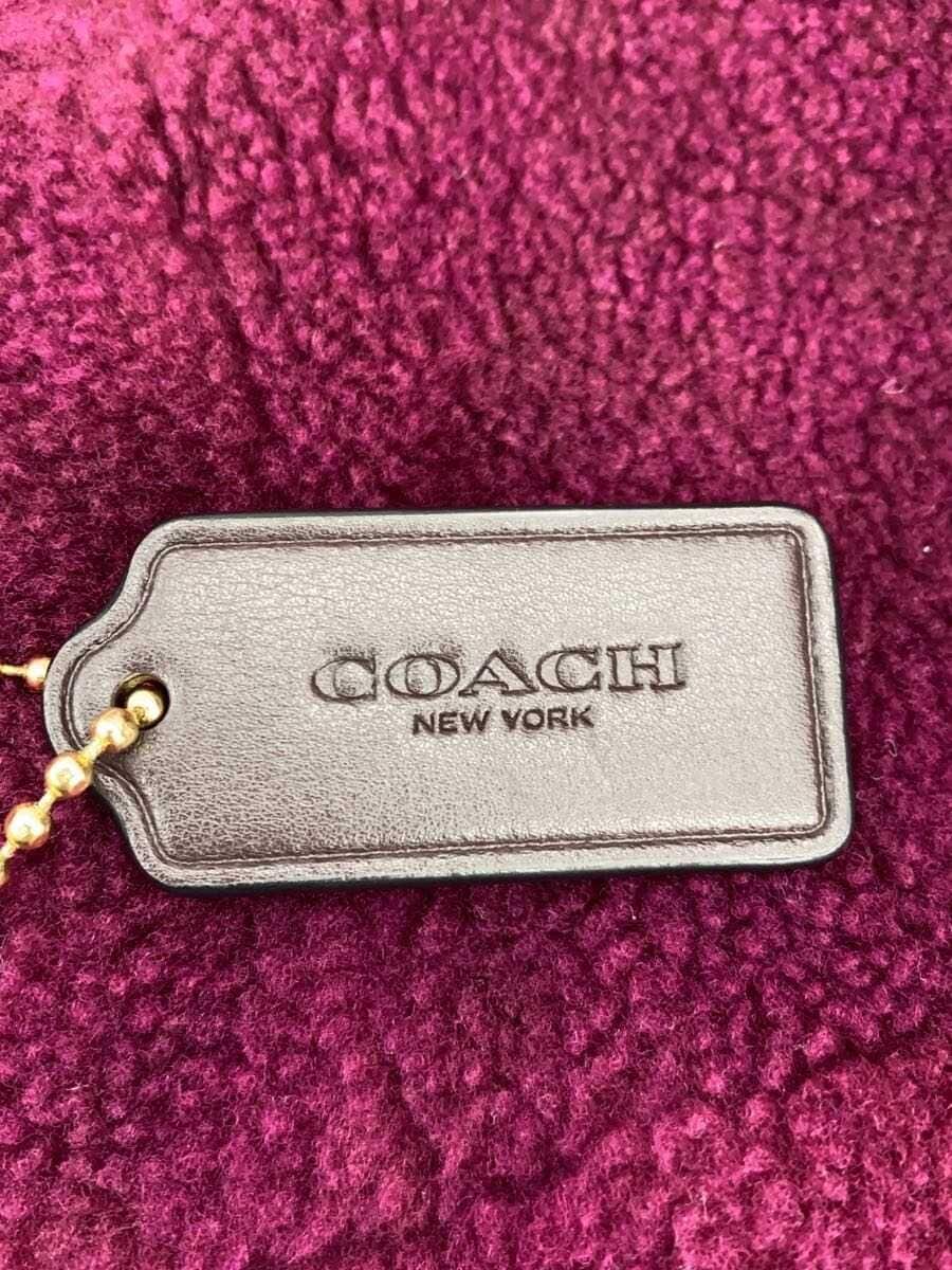 COACH2-Way Handbag BRD Solid CM177 5