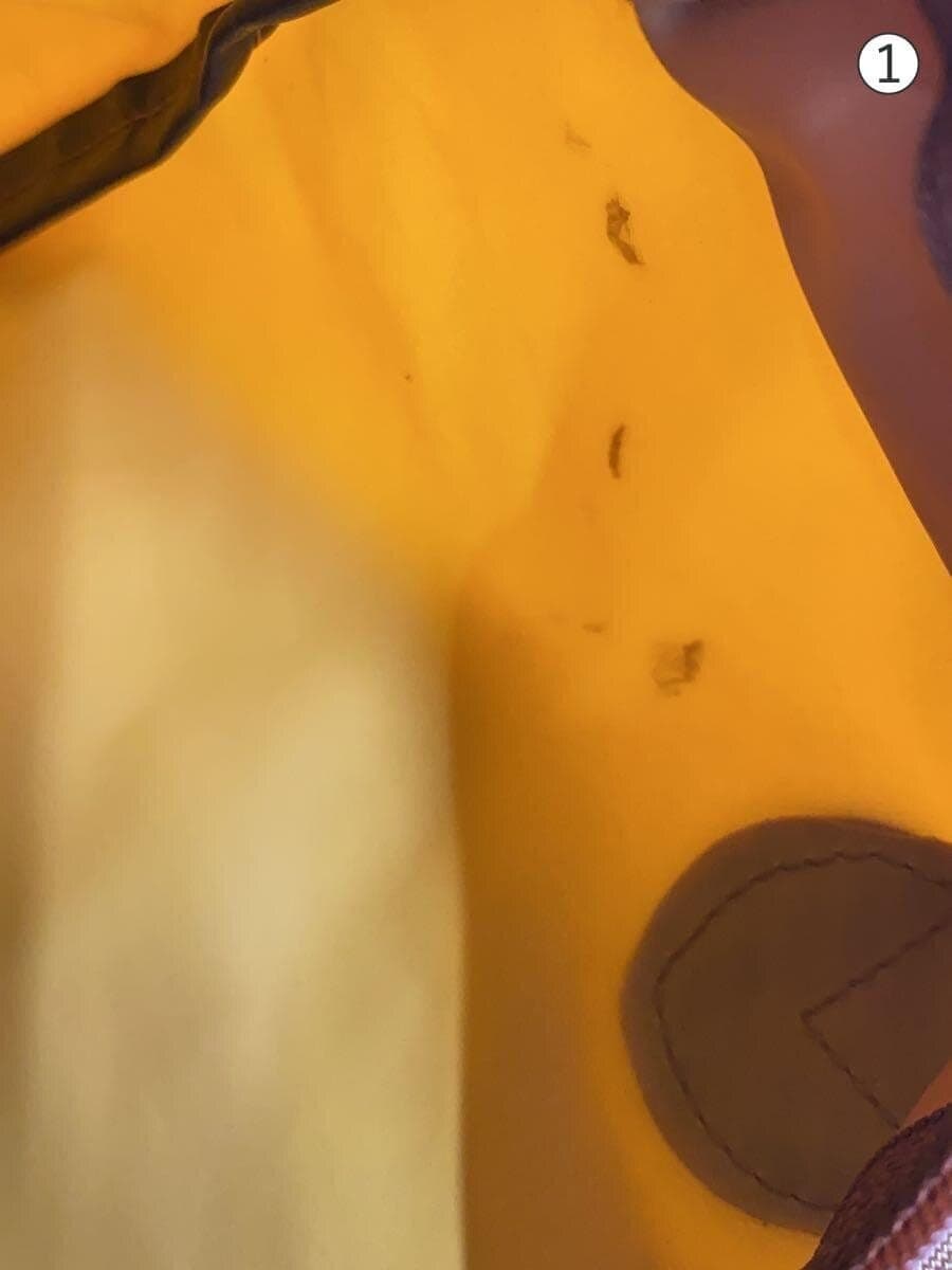 Louis Feraud Tote Bag YLW 6