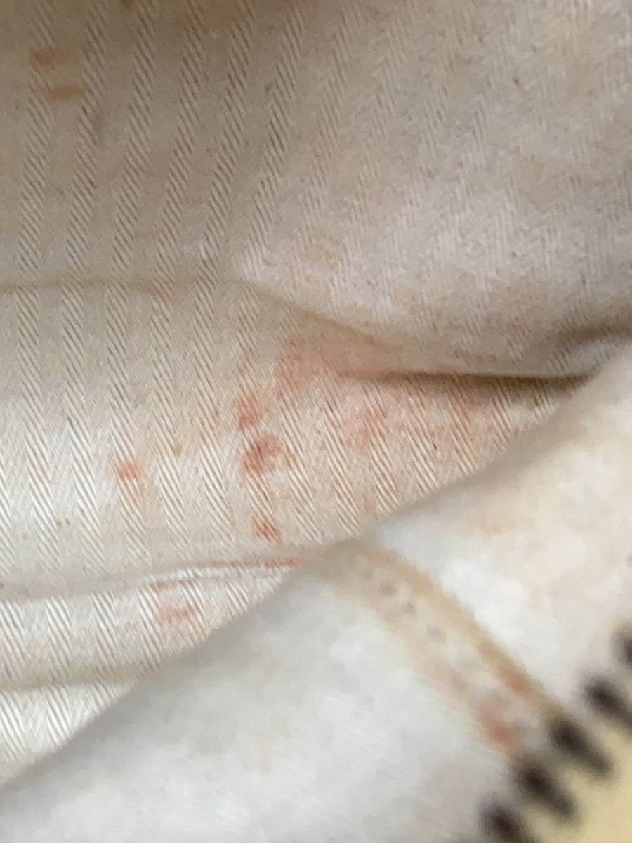 GENTEN Handbag BEG 7