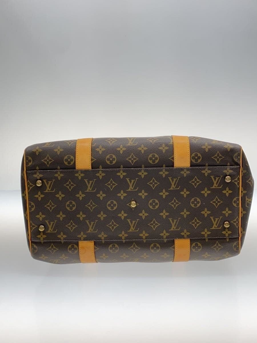 LOUIS VUITTON Carryall_Monogram Canvas PVC BRW 4