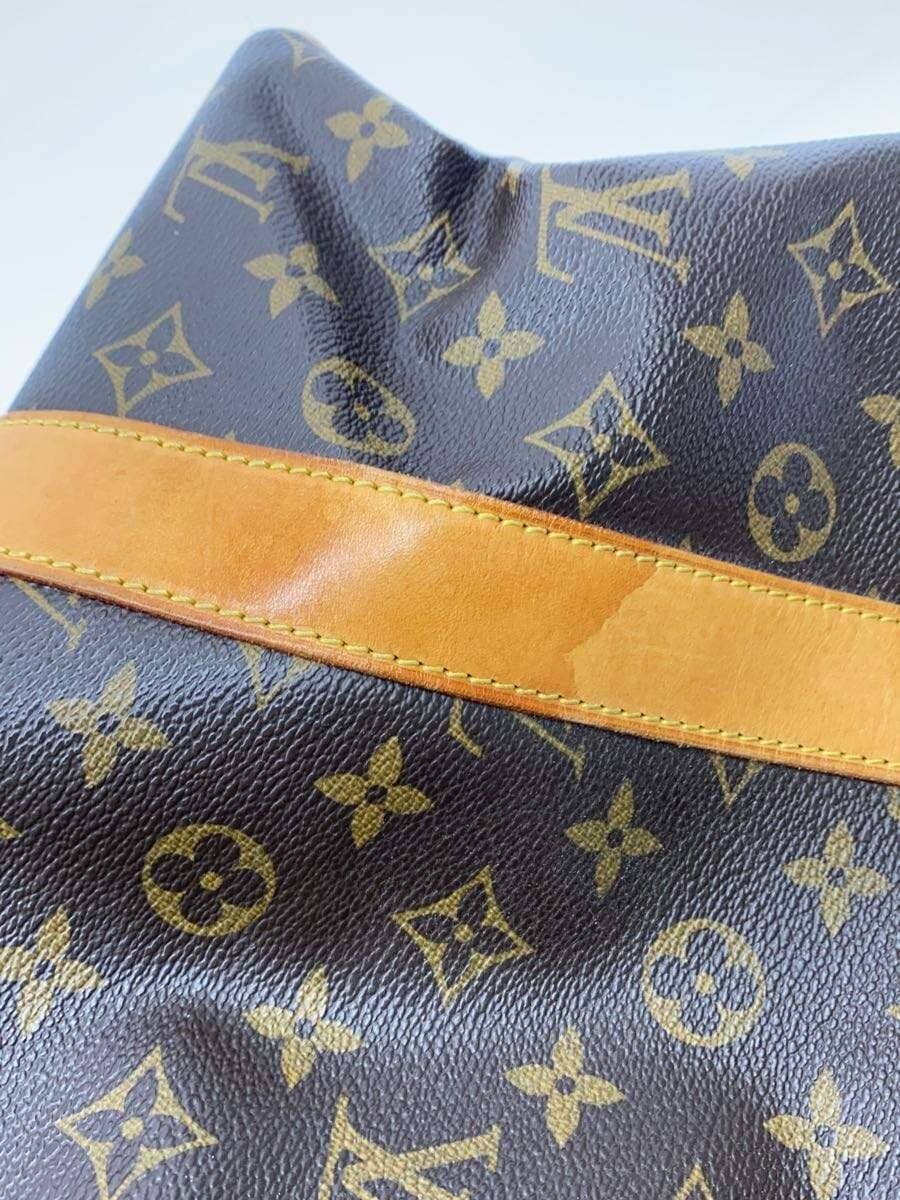 LOUIS VUITTON Carryall_Monogram Canvas PVC BRW 8