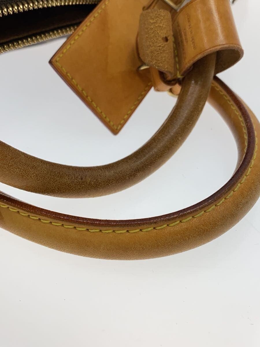 LOUIS VUITTON Carryall_Monogram Canvas PVC BRW 9