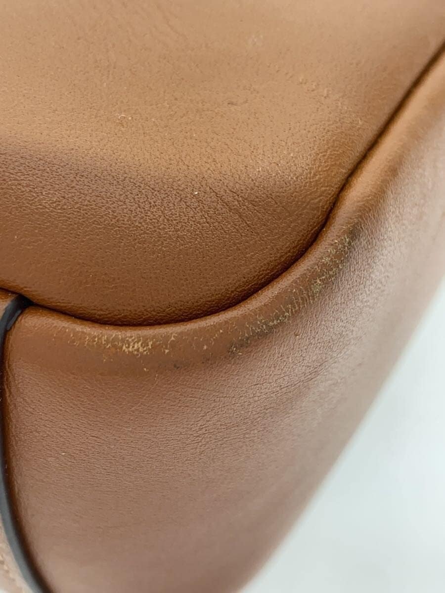 COACH Hadley Mini Crossbody Bag Clutch Bag BRW CBM63 IMTN2 7