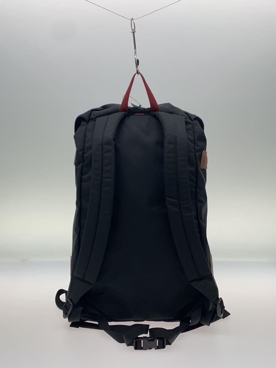 patagonia ARBOR PACK Backpack Polyester BLK STY47956FA17 3