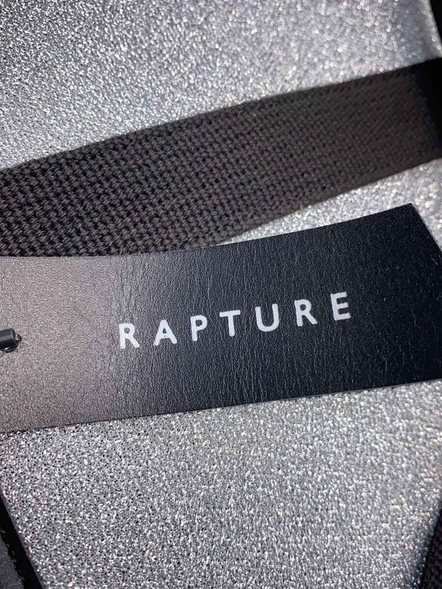 Rapture Handbag SLV Solid 5