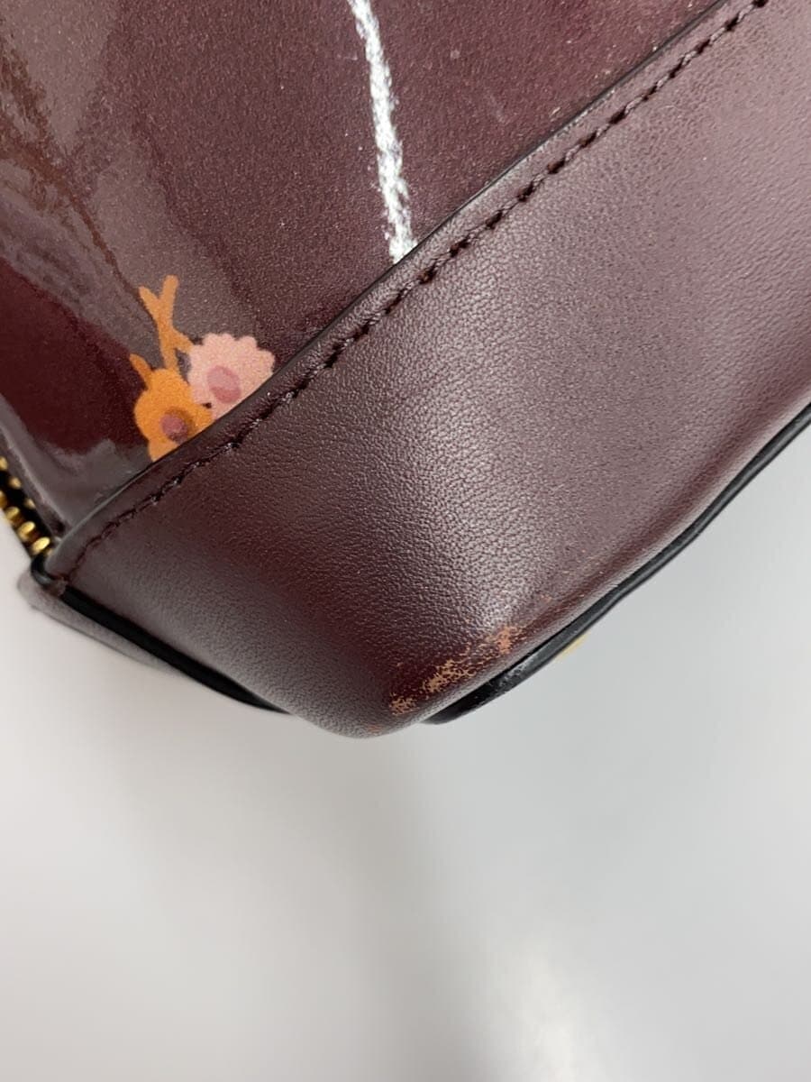 COACH Handbag BRW Floral 8