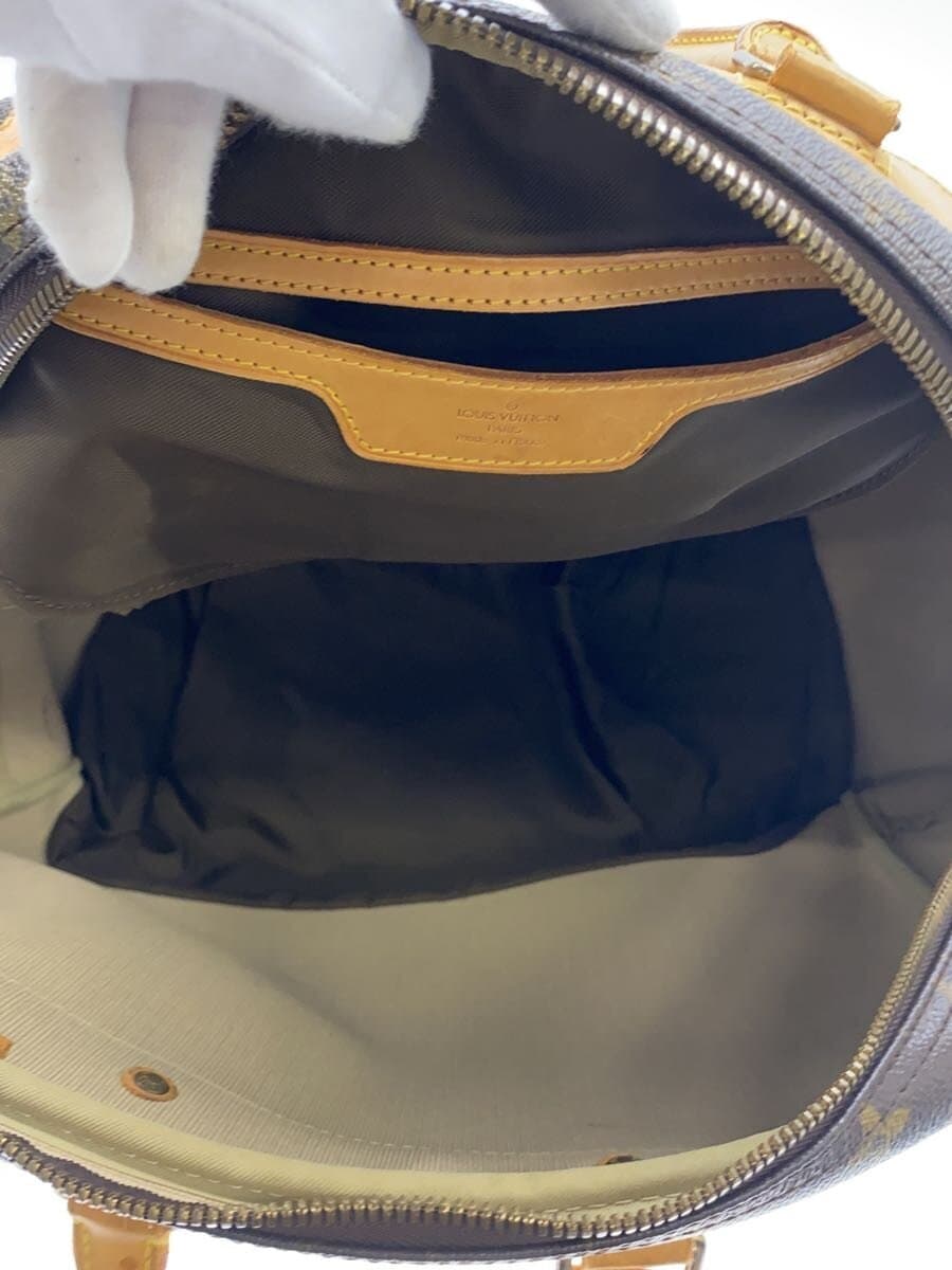 LOUIS VUITTON Eva Zion _Monogram Canvas PVC BRW 6