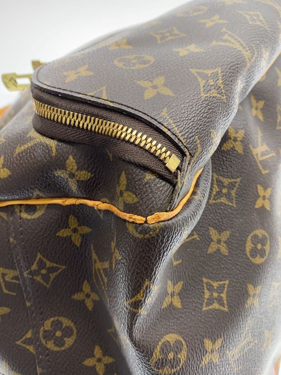 LOUIS VUITTON Eva Zion _Monogram Canvas PVC BRW 7