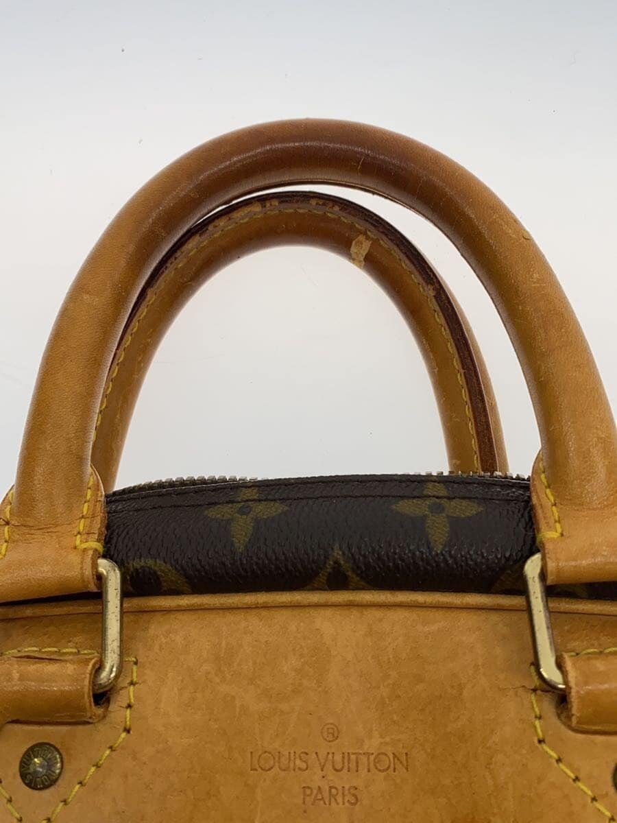 LOUIS VUITTON Eva Zion _Monogram Canvas PVC BRW 8