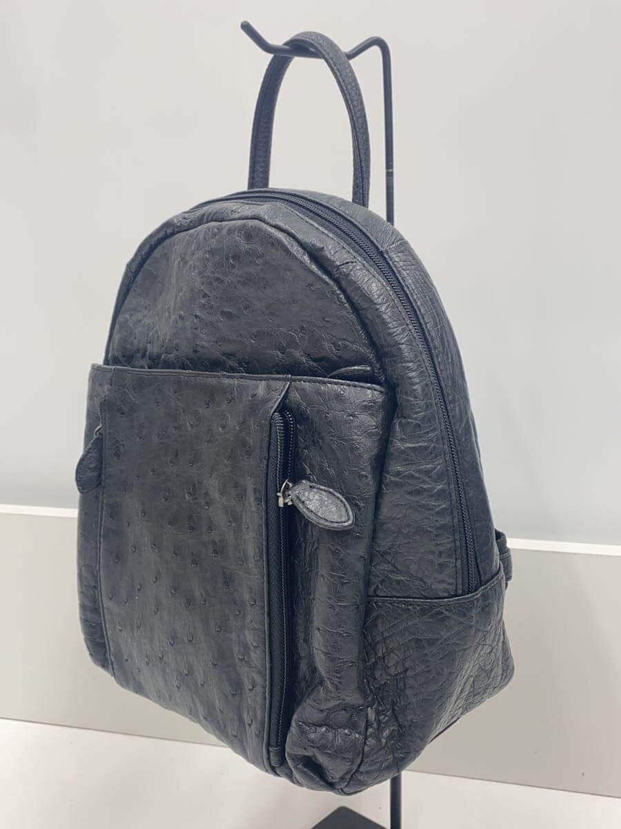 Other Brand Backpack BLK 2