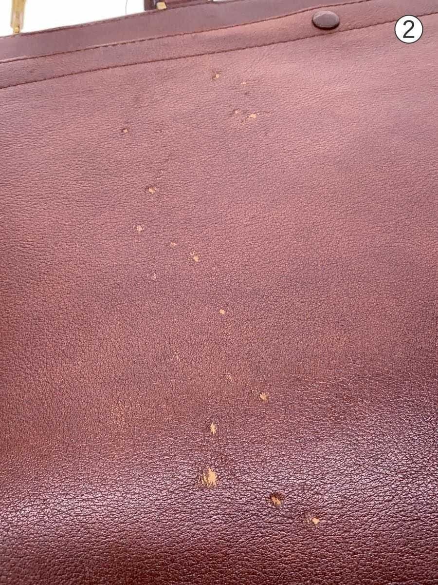 CASAR Briefcase BRW 8