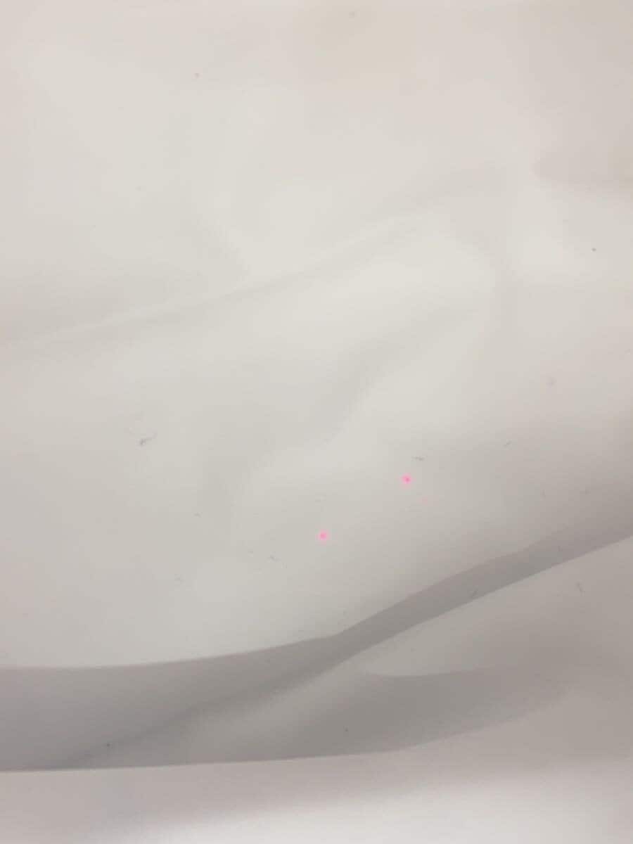 There are stains on the inside of the LONGCHAMP. 7